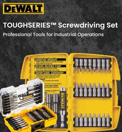 DewaltScrewdriving Set